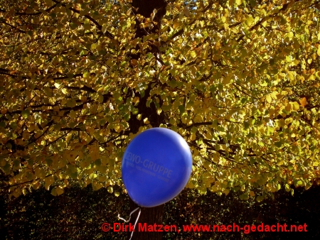 Britzer Garten, Berlin - Blauer Luftballon vor Herbstlaub
