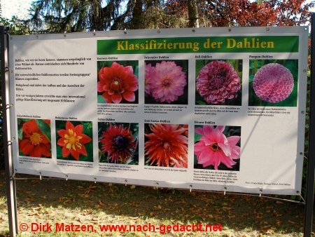 Britzer Garten, Berlin - Infotafel zu Dahlien