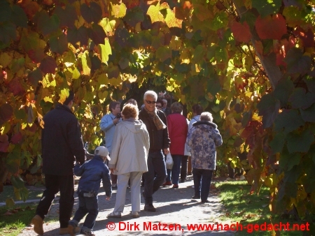 Britzer Garten, Berlin - Herbststimmung