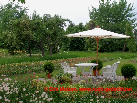 Britzer Garten, Berlin - Sitzgelegenheit bei Tulipan