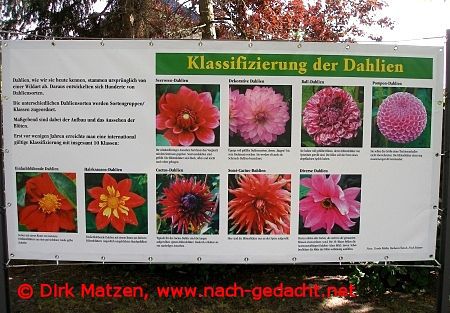Berlin Britzer Garten, Dahlien-Informationstafel