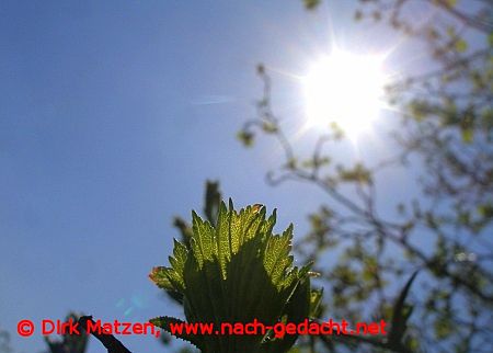 Berlin Britzer Garten, Frhling