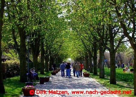 Berlin Britzer Garten, Eingangsbereich