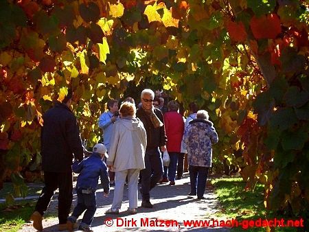 Berlin Britzer Garten, Herbststimmung