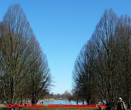 Berlin Britzer Garten, kahle Bume