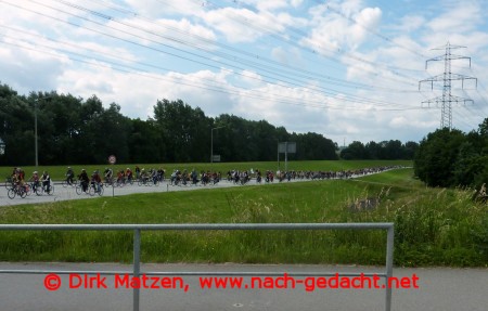 Fahrrad Sternfahrt Hamburg, Radfahrermasse