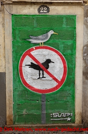 Funchal, Travessa Joo Caetano 22, bemalte Wand
