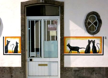 Herz-Katzen Ponta Delgada