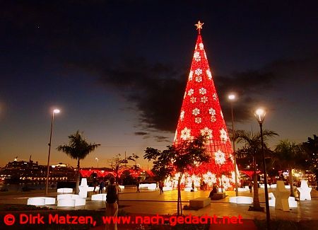 Funchal, 30 m hoher Weihnachtskegel