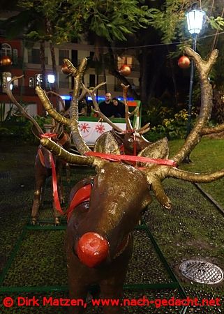 Funchal Weihnachtsbeleuchtung, Rentier-Schlitten 