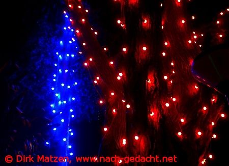 Funchal Weihnachtsbeleuchtung, leuchtende Bäume