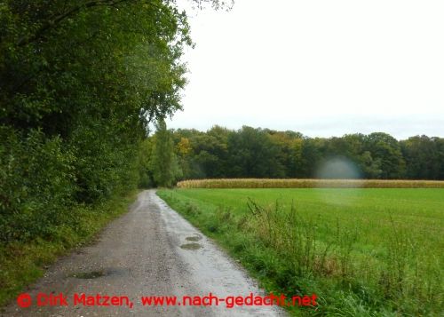 Europa-Radweg R1 bei Mnster