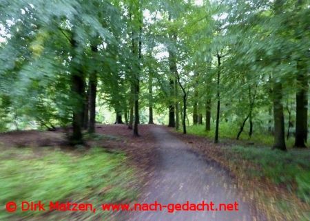 Werse-Radweg bei Mnster