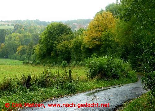 Europa-Radweg R1 am Teutoburger Wald