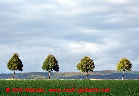 bei Ellensen