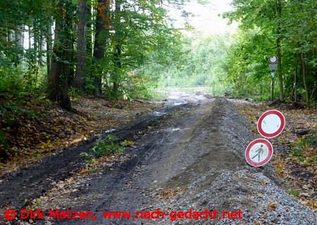 Radweg bei Goslar