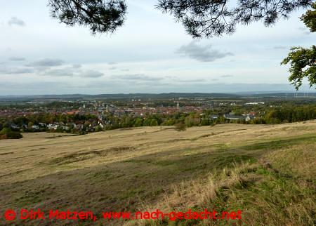 Blick auf Goslar