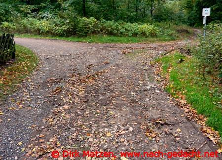 Radweg R1 bei Goslar