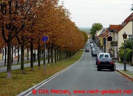 Ballenstedt Allee