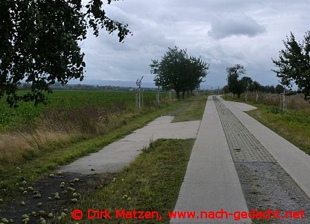 Fallobst am Wegesrand