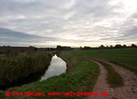 Radweg an der Fuhne