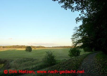 Dessau-Wrlitzer Elbauen