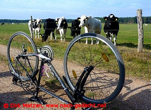 Fahrrad-Panne