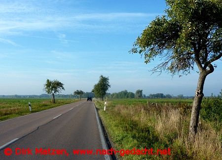 Strae von Wrlitz nach Oranienbaum