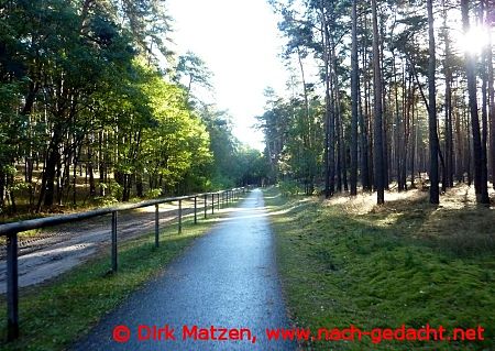 Radweg im Wald bei Trebitz