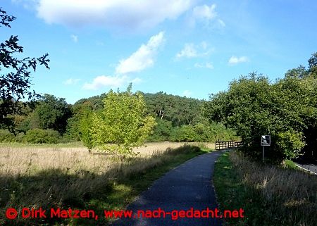 R1-Radweg hinter Ferch