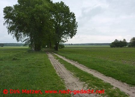 Feldweg bei Thielitz