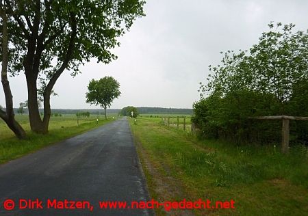 Strasse bei Thielitz