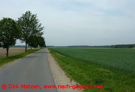 Ilmenauradweg, schne Wegstrecke