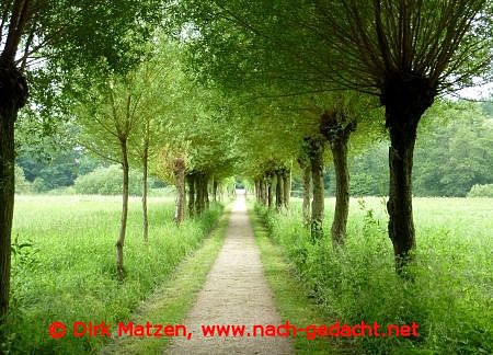 Ilmenauradweg, schne Strecke