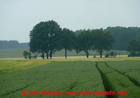 Landschaft bei Bruchtorf