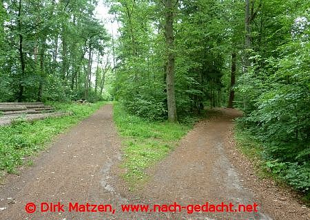 Ilmenauradweg, Waldwege