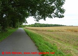 Oderbruchbahn-Radweg, Teil 2