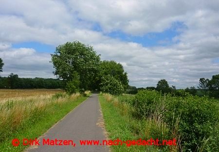 Radweg bei Steinhfel