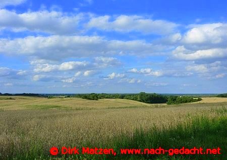 Landschaft bei Libbenichen