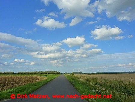 Oderbruch