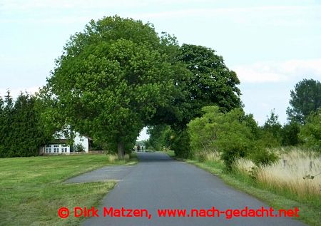 Werder im Oderbruch