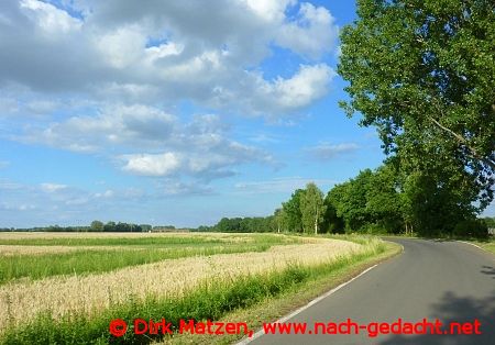 Oderbruch bei Hackenow