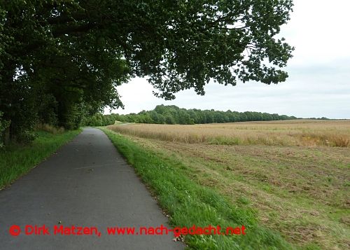 Oderbruchbahn-Radweg
