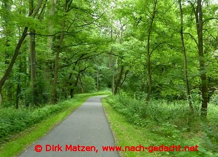 Radweg bei Buckow