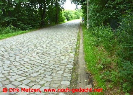 Oderbruchbahn-Radweg bei Dahmsdorf