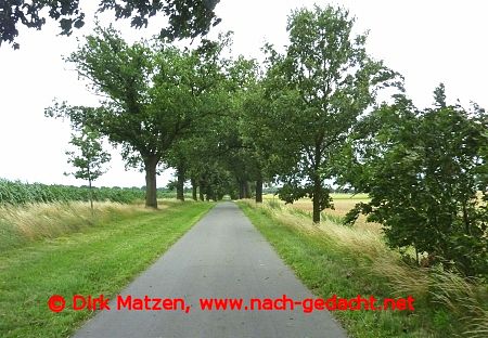 Radweg vor Behlendorf