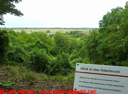 Blick ins Oderbruch