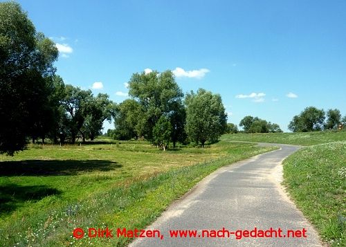 Radweg an der Oder