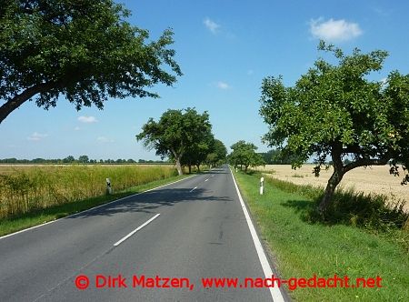 bei Gorgast