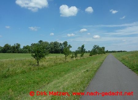 Radweg an der Oder